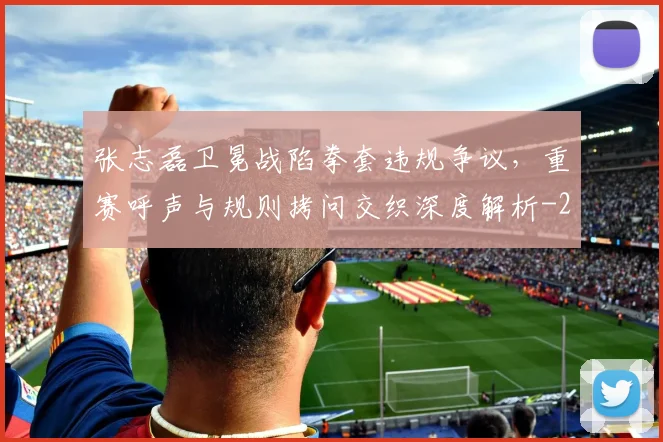 张志磊卫冕战陷拳套违规争议，重赛呼声与规则拷问交织深度解析