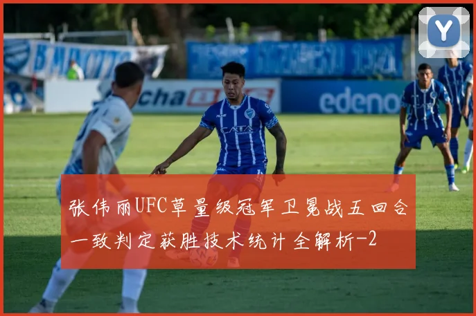 张伟丽UFC草量级冠军卫冕战五回合一致判定获胜技术统计全解析